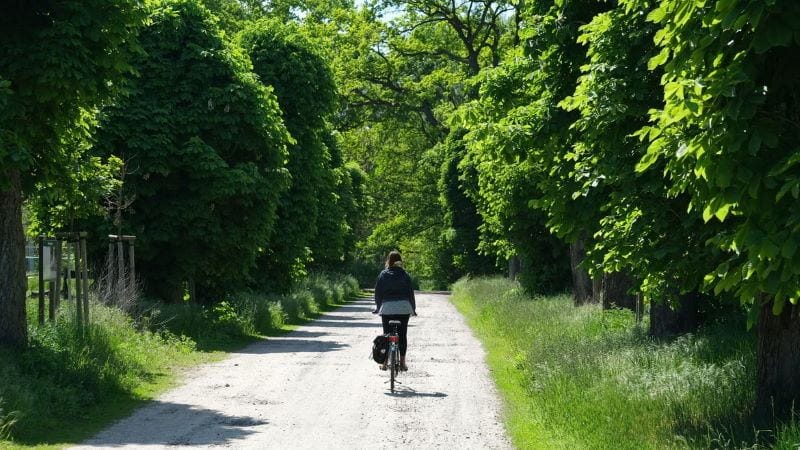 percorsi in bici siena